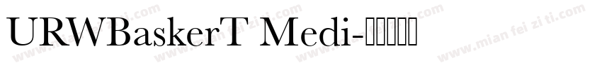 URWBaskerT Medi字体转换